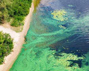 Read More - Science Committee Members' Statement on Release of Harmful Algal Blooms and Hypoxia GAO Report